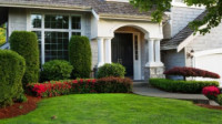 Landscape Design & Installation