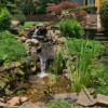 Water Color & Stone